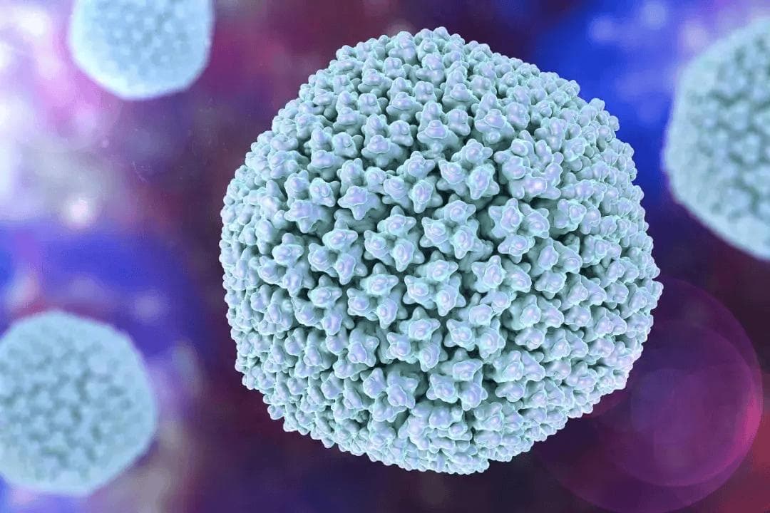 为什么说腺病毒是“毒王”，您知道几点？
