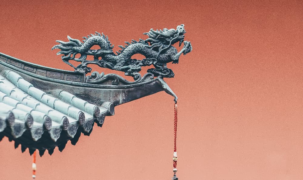 喜鹊敲窗风水学，喜鹊敲门有什么讲究