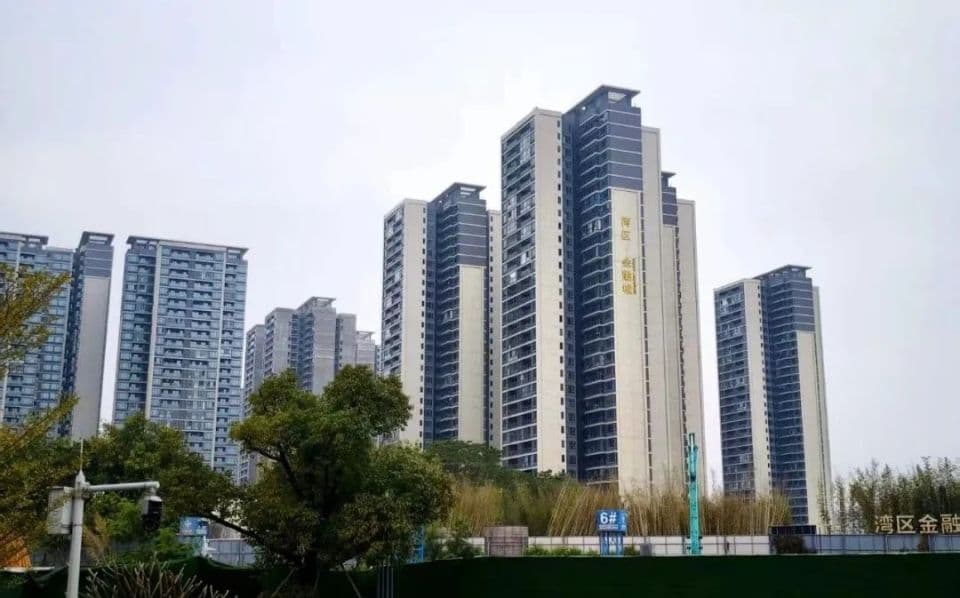 教育配套引争议，广州南沙横沥岛发展陷入"困局"？