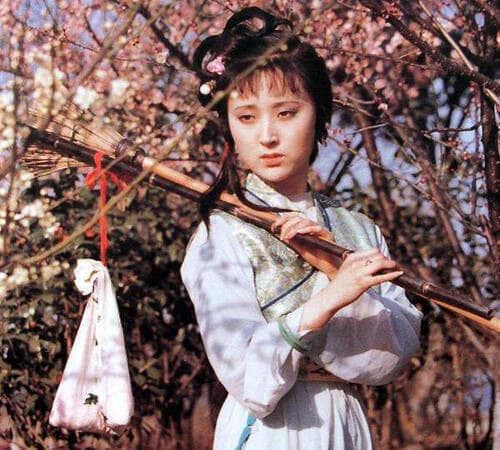 《红楼梦》中的“因花写人”