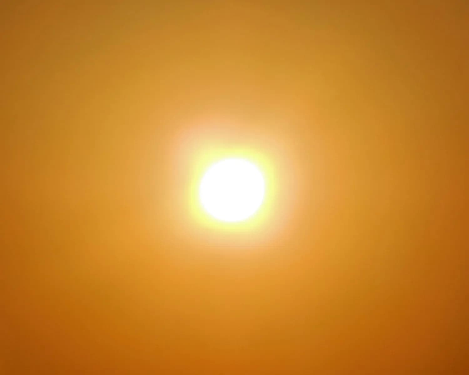 四九气候偏暖，春节前夕养生防寒两不误