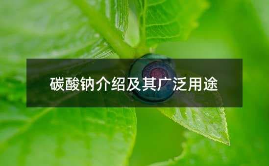 碳酸钠介绍及其广泛用途