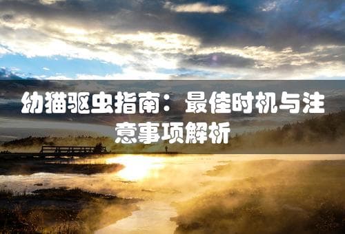 幼猫驱虫指南：最佳时机与注意事项解析(幼猫什么时候驱虫)