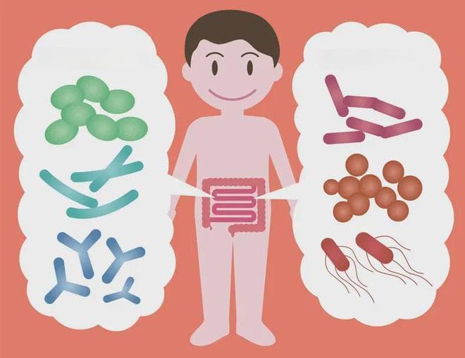 有一种腹泻叫抗生素相关性腹泻