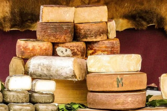 世界最出名的10种奶酪 全球十大著名奶酪的品种及产区