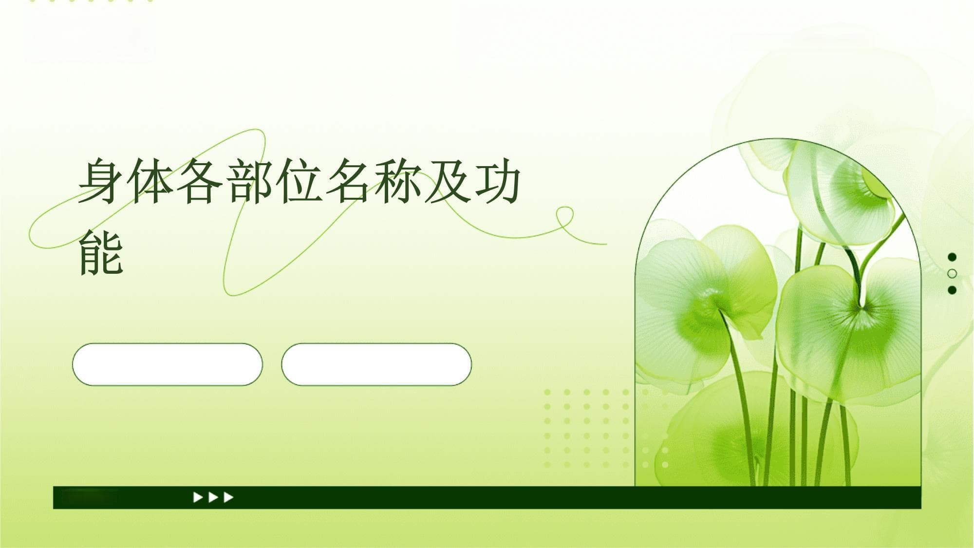 身体各部位名称及功能