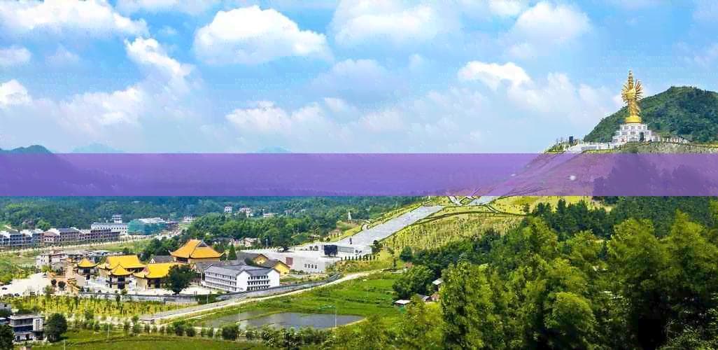 海南特产松子最新市场价格动态及趋势分析