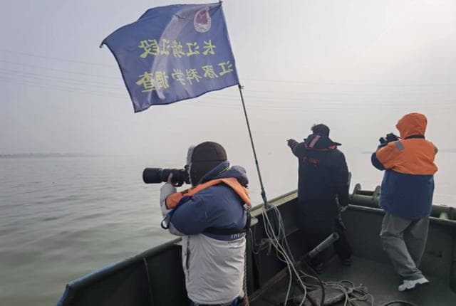 靖江：碧水重逢，江豚归来
