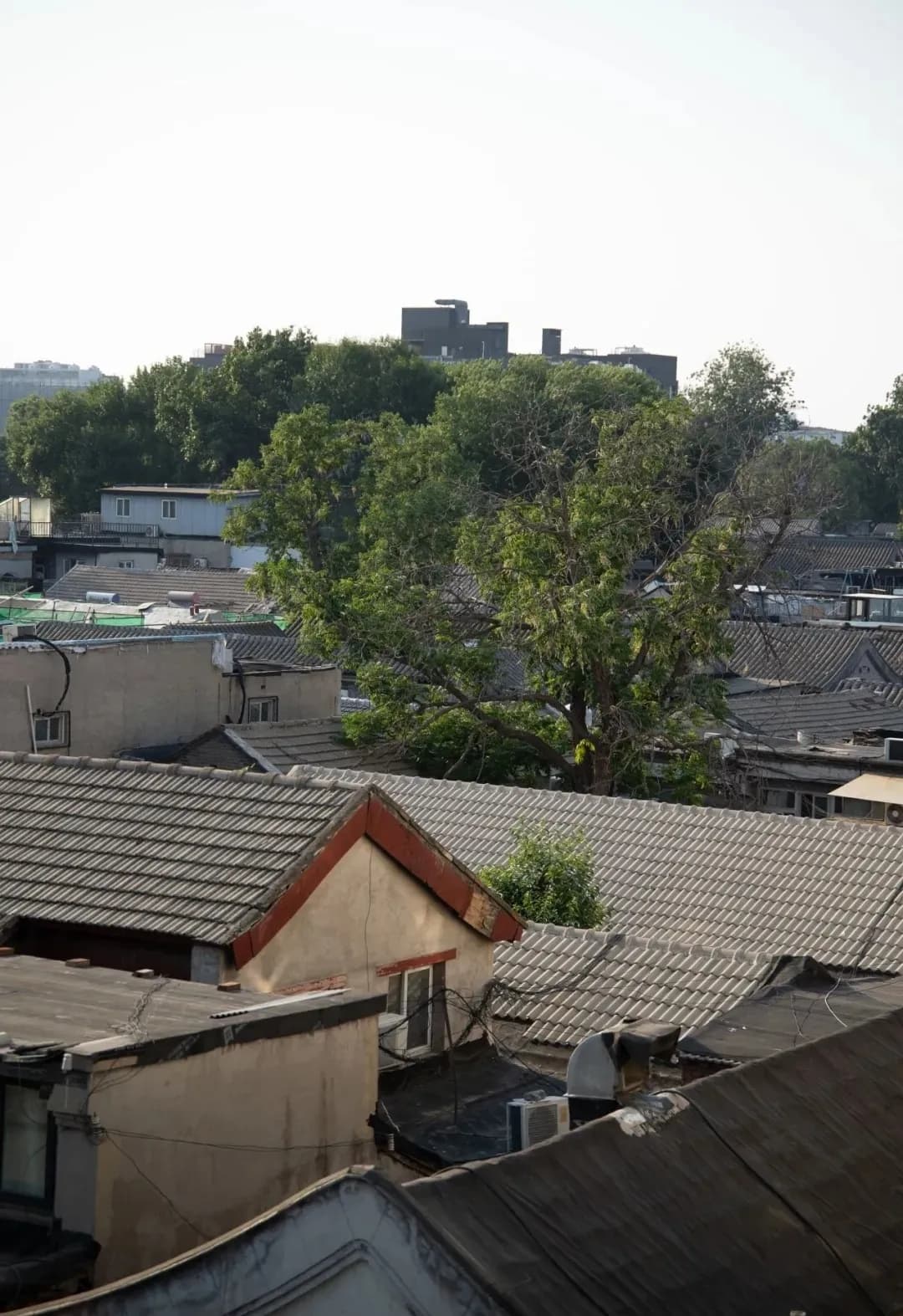 隆福寺的老街焕新：从古都记忆到现代潮流的华丽蜕变