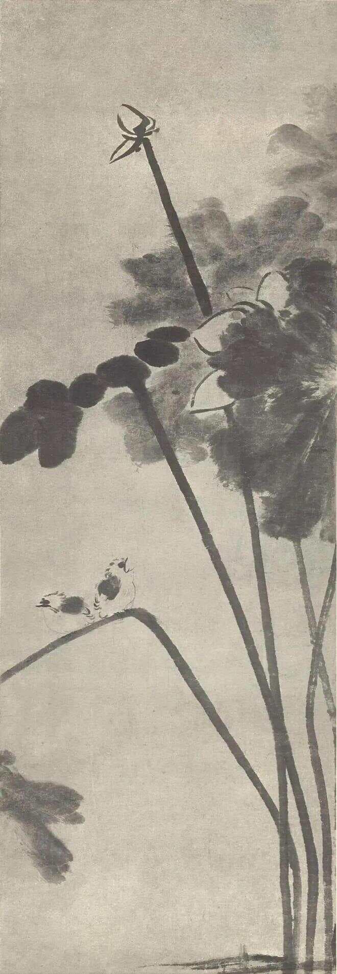 八大的荷画，一个安放心魂的居所
