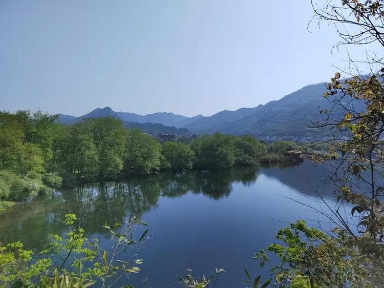 桃花潭畔：古韵今风，诗酒情深