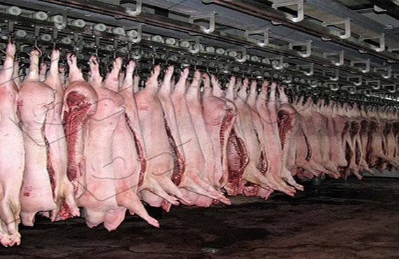 猪肉屠宰场流水线：高效、安全与卫生的肉类加工流程解析