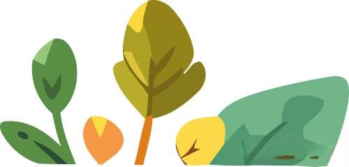 有机肥能否代替化肥？专家解析两者优劣与互补关系