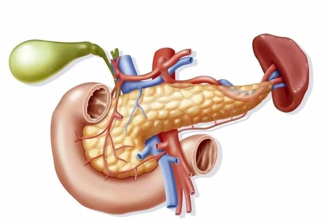 急性胰腺炎健康指导