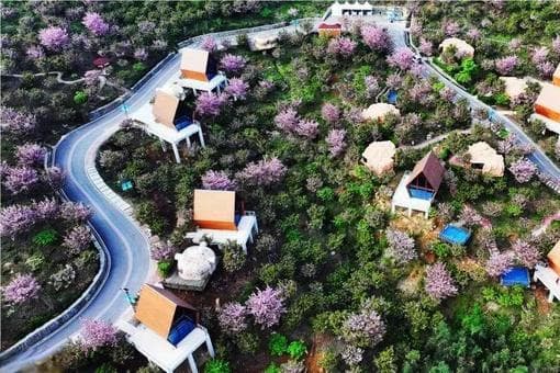 汶川地震16年：经历过黑暗，更知如何寻找光亮