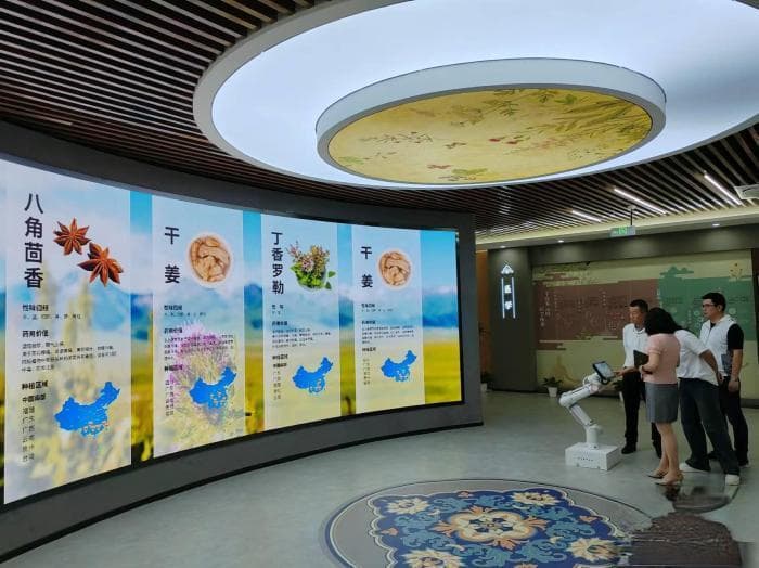 新疆和田如何实现从“天然药仓”到“中医药之乡”的转变？