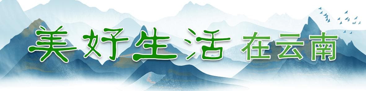 一筷腾冲饵丝长，细品岁月烟火香