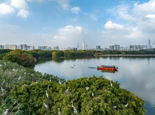 划分三大战略分区，美丽广州这样建设！