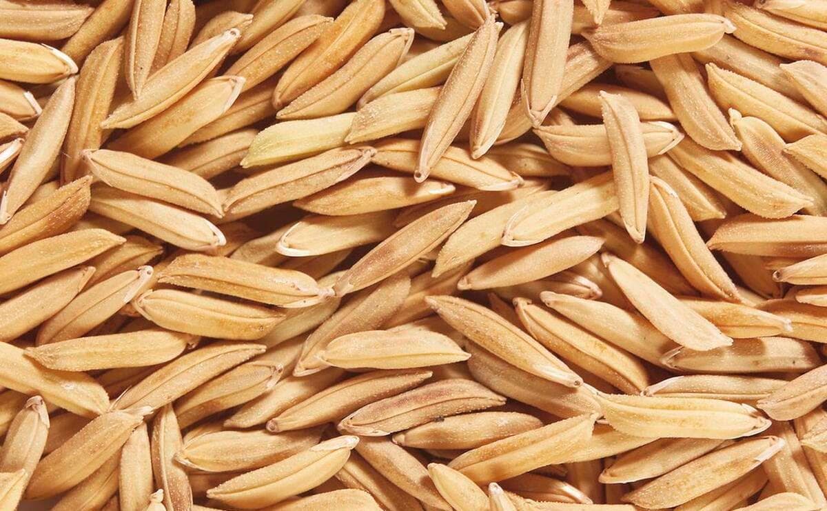 稻壳能直接混在土里种菜