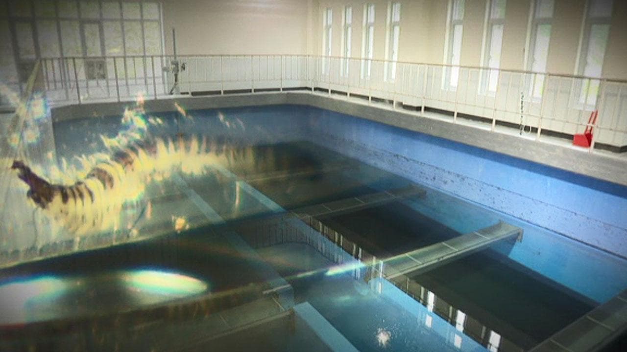 韩国仁川自来水现大量幼虫，已引发瓶装水抢购潮
