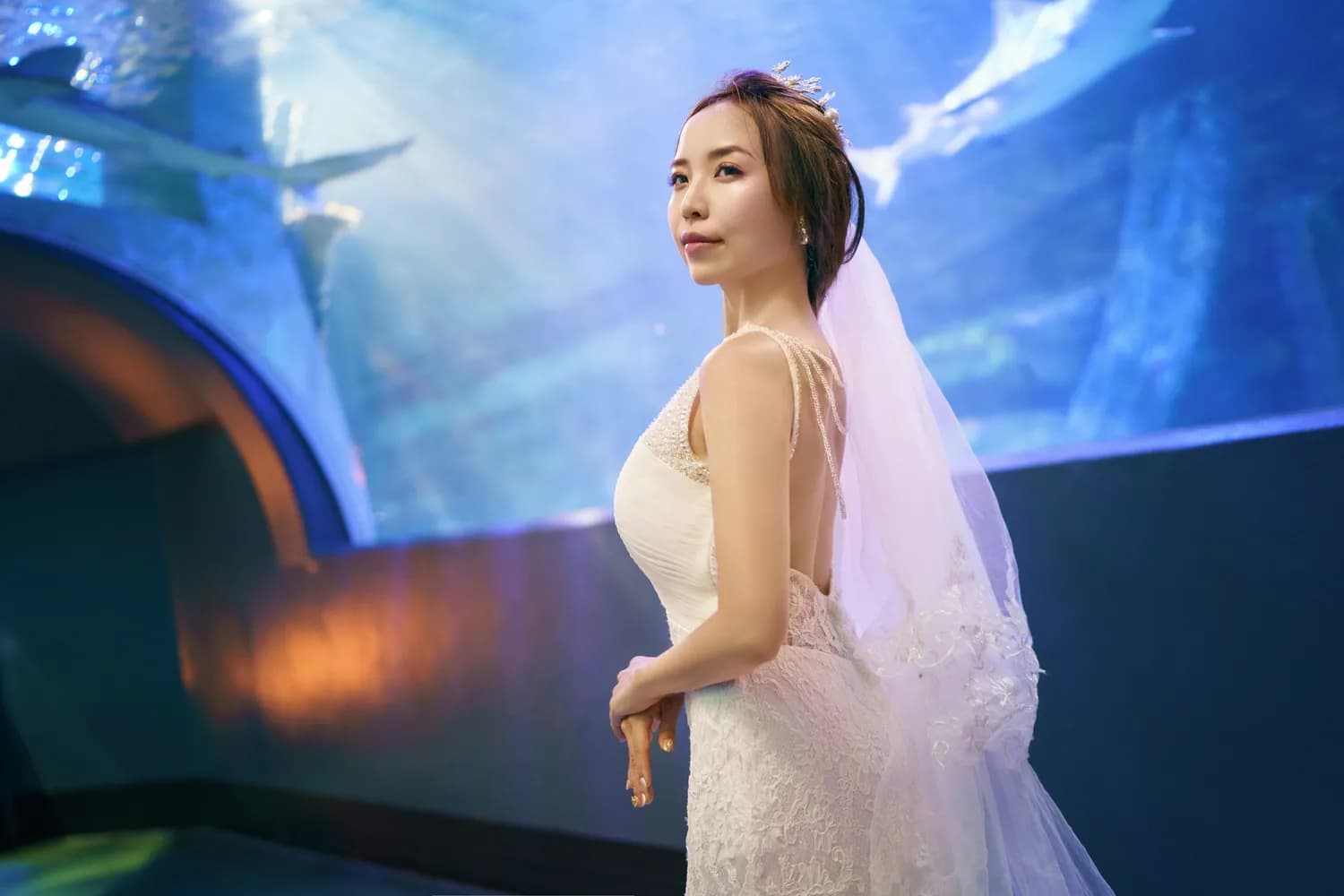 长春电影节红毯：姜珮瑶中式美人造型惊艳，陈瑶优雅气质获赞