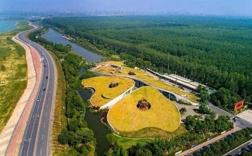 合肥滨湖国家森林公园：万亩城市水网森林