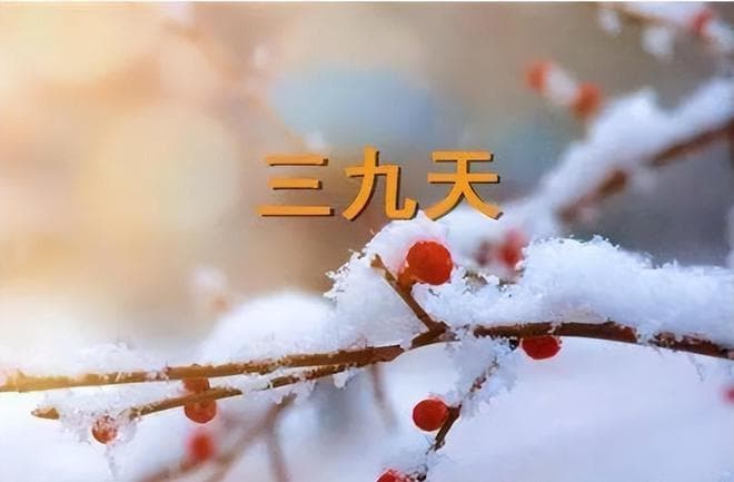 三九天吃鸡指南：三种家常做法详解