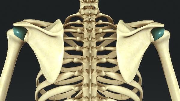 背部长痘痘怎么办？5个实用解决方案帮你摆脱烦恼