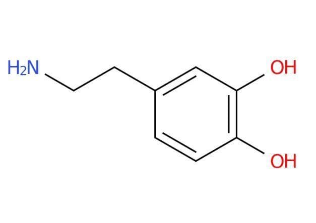 多巴胺：从化学结构到生物功能的全面解析