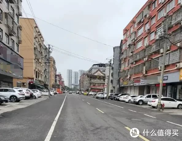 马路房噪音大、灰尘多？4种植物帮你“降噪除尘”，打造安静小窝
