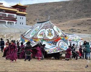 如何应对地震对所购房子的影响？这种情况下怎样保障自身权益？