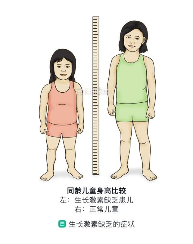 长高的秘诀不是喝牛奶、吃补品，而是做到这4件事……