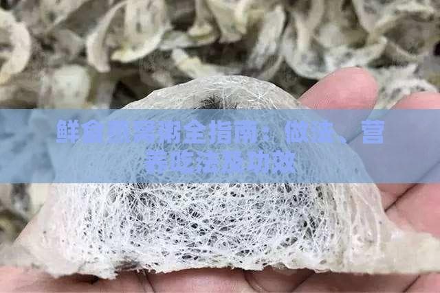 鲜食燕窝粥全指南：做法、营养吃法及功效