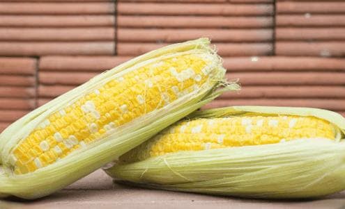 真菌毒素：定义、分类、健康影响及缓解方法