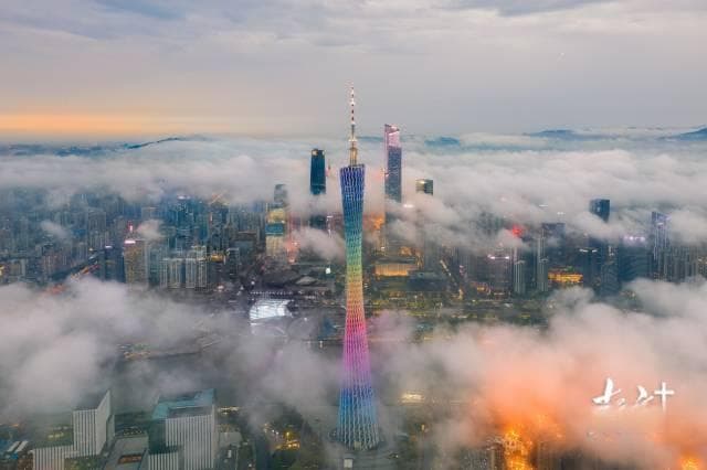 去年新增人口超44万！粤港澳大湾区“人气”为何这么旺？
