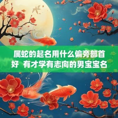 属蛇的起名用什么偏旁部首好  有才学有志向的男宝宝名字