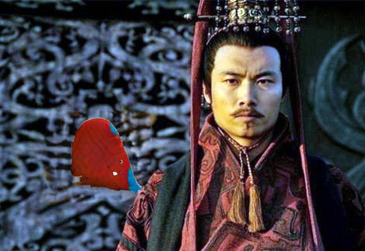 隐忍与野心：司马懿的权力之路，是忠诚还是背叛？