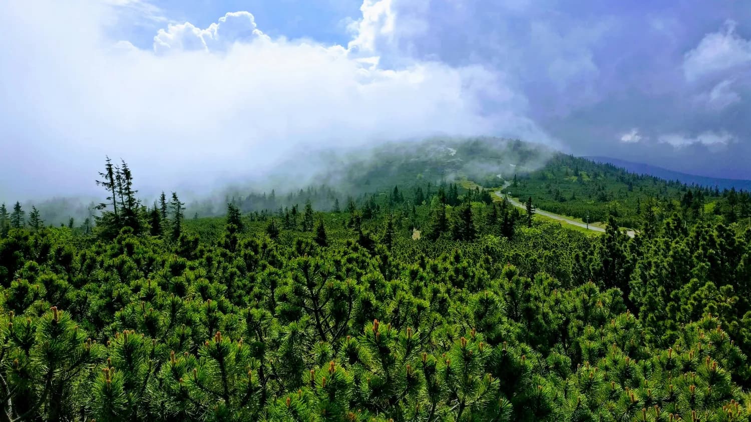 白山市：打造“绿水青山就是金山银山”的实践样本