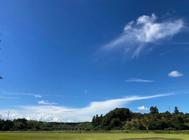 30天完整辞职指南：从心理准备到完美交接
