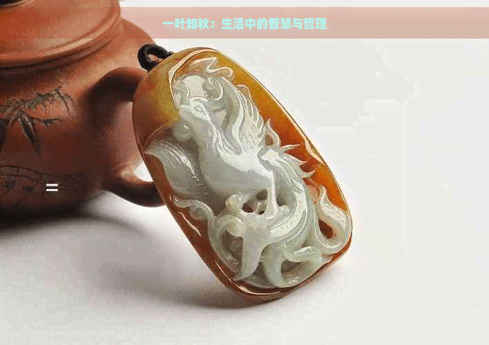 一叶知秋：生活中的智慧与哲理