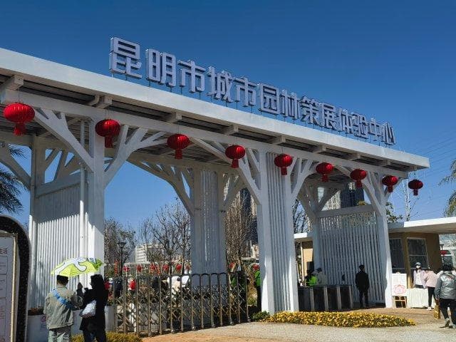昆明城市策展体验中心开园：山茶花造型融合多元功能