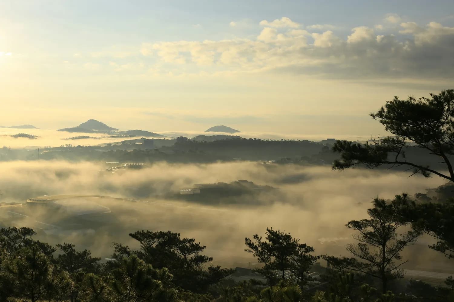 桂林一日游：打卡象鼻山、日月双塔、两江四湖！