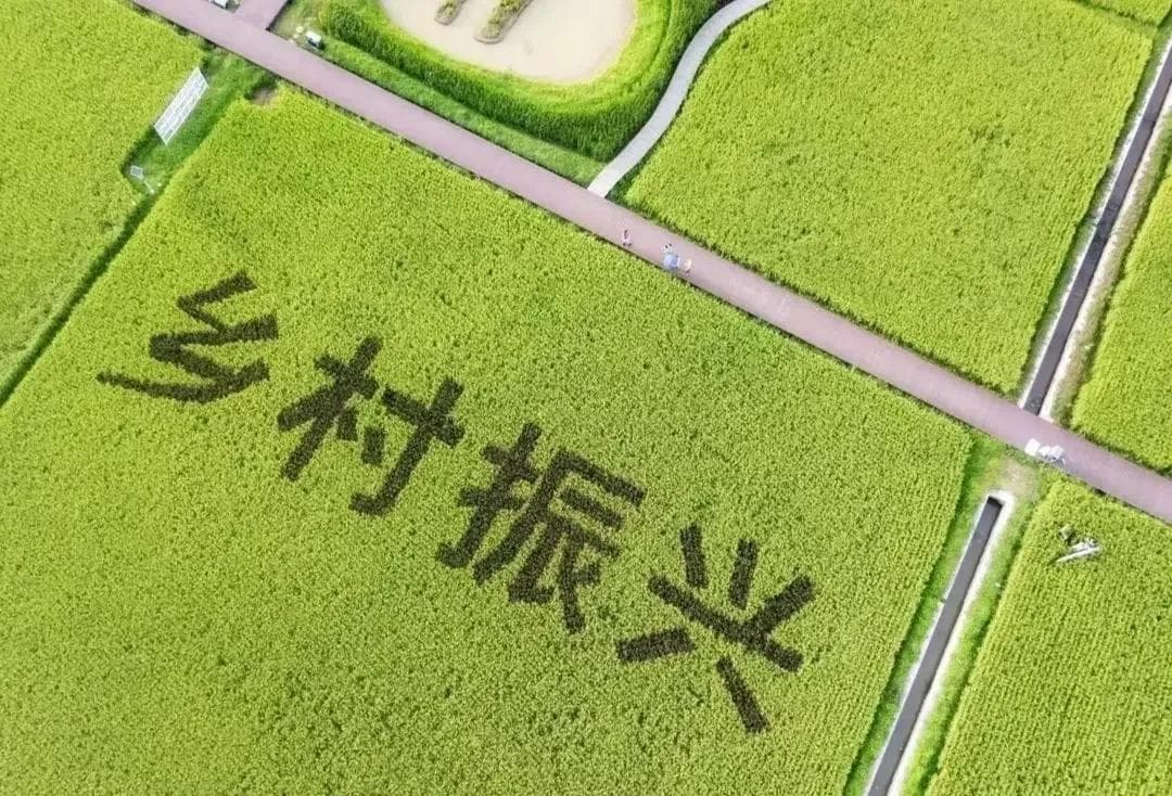 “合村并镇”加速，农民若真要搬离农房！这3个问题仍待解决
