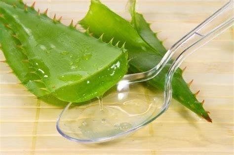 芦荟胶的作用与功效
