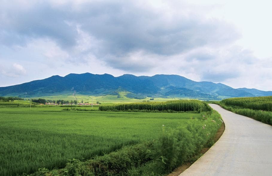 罗通山城考古发掘报告：揭秘高句丽时期重要山城遗址