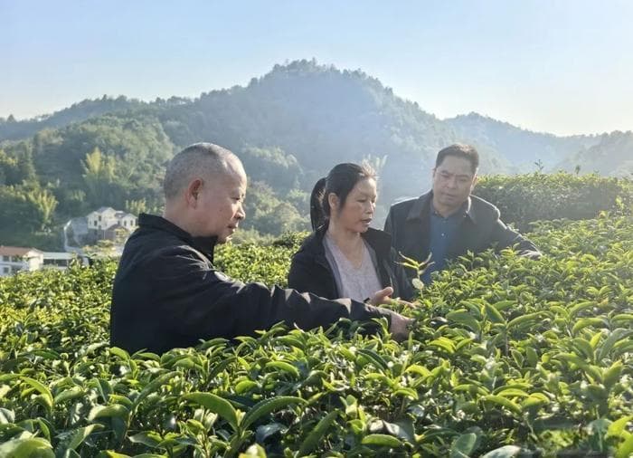 兴宁市径南镇新洲村探索特色产业发展新路径：做强“土特产” 走好“富民路”