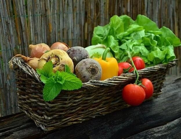 如何解决和控制食物中过量的组胺
