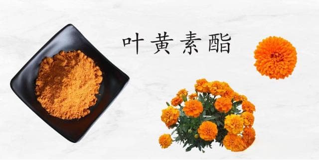 吃儿童叶黄素对眼睛有哪些好处？哪个牌子含量成分都好？8款测评