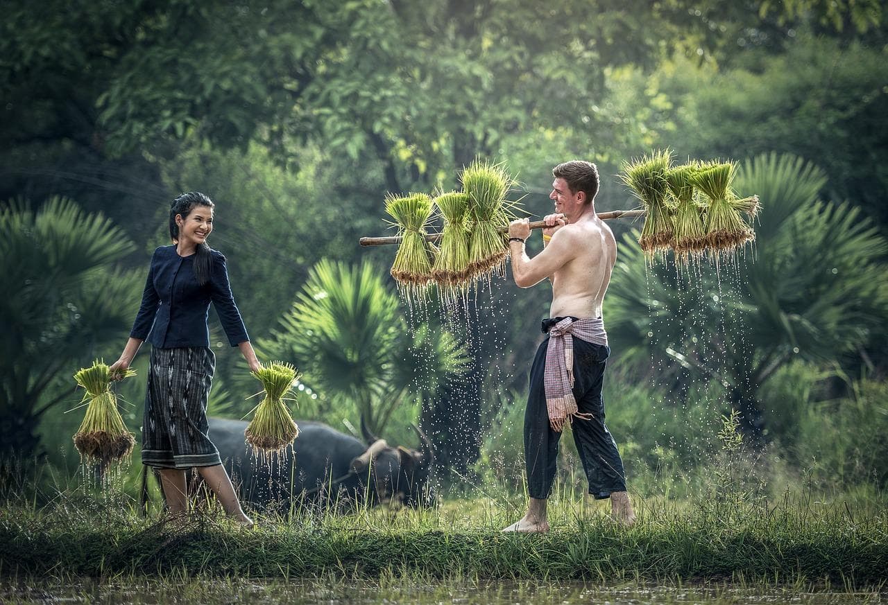 文化敏感度：了解老挝的当地规范