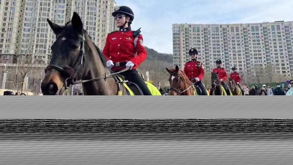 大连东港威尼斯水城旅游攻略：交通、门票及游玩建议